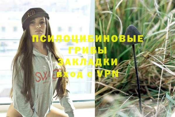 ешки Краснослободск