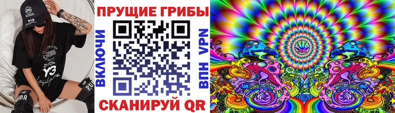 Купить  Бирюсинск  Галлюциногенные грибы мухоморы 